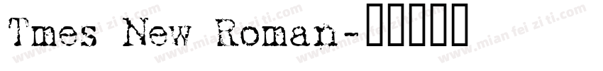 Tmes New Roman字体转换